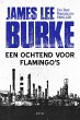 Een ochtend voor flamingo's (eBook,... - Bild 1