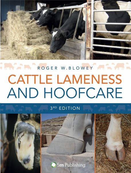 Cattle Lameness and Hoofcare (eBook, PDF)