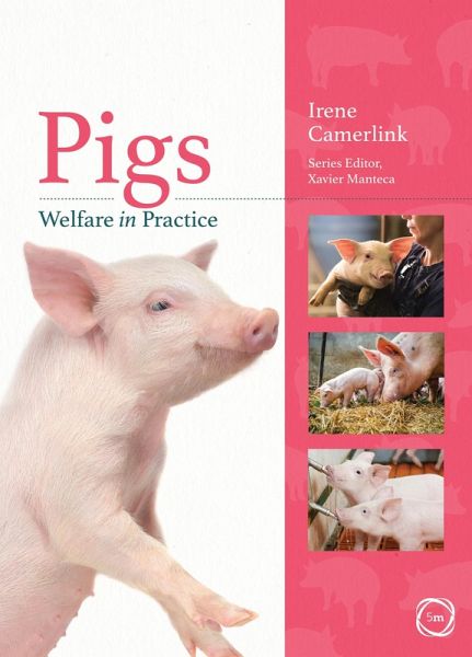 Pigs Welfare in Practice (eBook, PDF) Pigs Welfare in Practice (eBook, PDF)