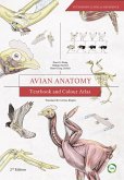 Avian Anatomy (eBook, PDF) Avian Anatomy (eBook, PDF)