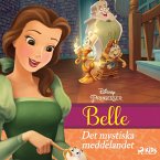 Belle - Det mystiska meddelandet (MP3-Download)