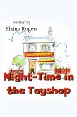 Night-Time in the Toyshop (eBook, PDF)