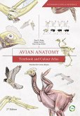 Avian Anatomy (eBook, ePUB)