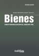 Bienes: constitucionalización del... - Bild 1