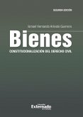 Bienes: constitucionalización del derecho civil (eBook, PDF)