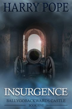 Cover Insurgence (eBook, PDF)