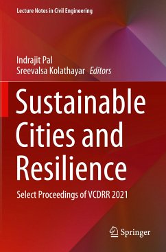 Sustainable Cities and Resilience