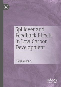Spillover and Feedback Effects in Low Carbon Development - Zhang, Youguo