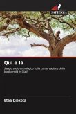 Qui e là