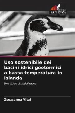 Uso sostenibile dei bacini idrici geotermici a bassa temperatura in Islanda - Vitai, Zsuzsanna