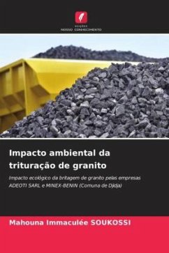 Impacto ambiental da trituração de granito - Soukossi, Mahouna Immaculée