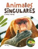 Animales Singulares y muy Raros Animales Singulares y muy Raros
