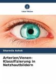 Arterien/Venen-Klassifizierung in Netzhautbildern