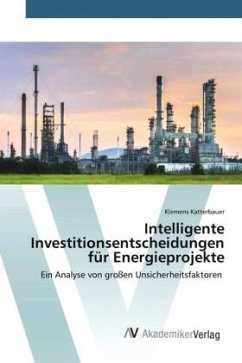 Intelligente Investitionsentscheidungen für Energieprojekte - Katterbauer, Klemens