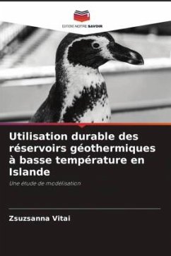 Utilisation durable des réservoirs géothermiques à basse température en Islande - Vitai, Zsuzsanna