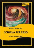 Schiava per caso in una calda estate (eBook, ePUB)