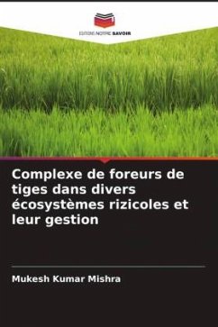 Complexe de foreurs de tiges dans divers écosystèmes rizicoles et leur gestion - Mishra, Mukesh Kumar