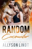 Random Encounter (eBook, ePUB)