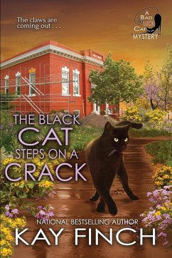 The Black Cat Steps on a Crack - Finch, Kay