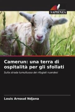 Camerun: una terra di ospitalità per gli sfollati - Ndjana, Louis Arnaud