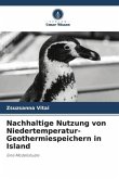 Nachhaltige Nutzung von Niedertemperatur-Geothermiespeichern in Island