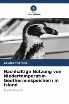 Nachhaltige Nutzung von Niedertemperatur-Geothermiespeichern in Island - Vitai, Zsuzsanna