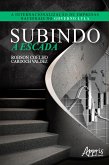 Subindo a Escada: A Internacionalização de Empresas Nacionais no Governo Lula (eBook, ePUB)