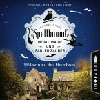 Höllenritt auf dem Hexenbesen (MP3-Download)