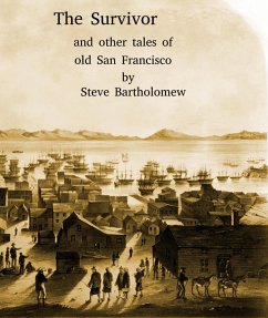 The Survivor (eBook, ePUB) - Bartholomew, Steve