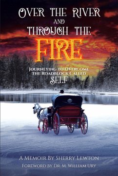 Cover Over the River and through the Fire (eBook, ePUB)