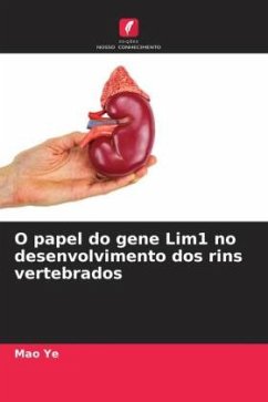 O papel do gene Lim1 no desenvolvimento dos rins vertebrados - Ye, Mao