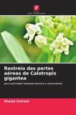 Rastreio das partes aéreas de Calotropis gigantea