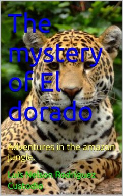 Cover mystery of El Dorado (eBook, ePUB)
