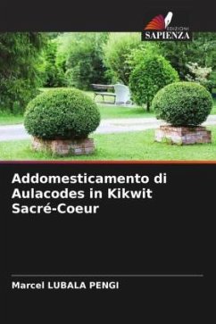 Addomesticamento di Aulacodes in Kikwit Sacré-Coeur - Pengi, Marcel Lubala