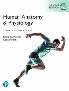 Human Anatomy & Physiology, Global Edition (eBook, PDF) - Marieb, Elaine N.; Hoehn, Katja