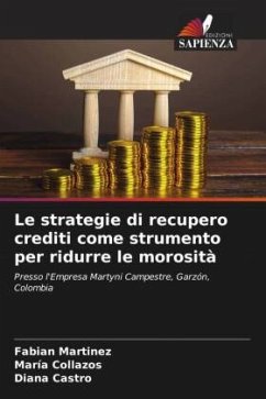 Le strategie di recupero crediti come strumento per ridurre le morosità - Martinez, Fabian;Collazos, María;Castro, Diana