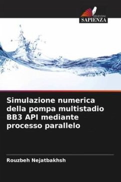 Simulazione numerica della pompa multistadio BB3 API mediante processo parallelo - Nejatbakhsh, Rouzbeh
