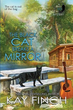 The Black Cat Breaks a Mirror - Finch, Kay