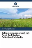 Schlammmanagement mit Reed Bed System Palästina Fallstudie