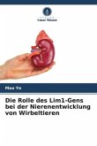 Die Rolle des Lim1-Gens bei der Nierenentwicklung von Wirbeltieren