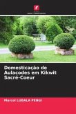 Domesticação de Aulacodes em Kikwit Sacré-Coeur