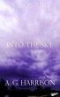 Into The Sky (eBook, ePUB) - Bild 1