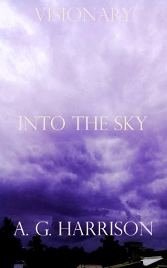 Cover Into The Sky (eBook, ePUB)