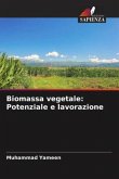 Biomassa vegetale: Potenziale e lavorazione