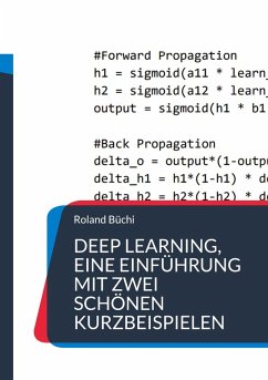 Deep Learning, eine Einführung mit zwei schönen Kurzbeispielen (eBook, PDF)