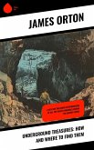 Underground Treasures: How and Where to Find Them (eBook, ePUB)
