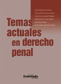 Temas actuales en derecho penal (eBook, PDF)