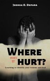 Where Does It Hurt? (eBook, ePUB)