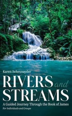 Rivers and Streams (eBook, ePUB) - Schexnayder, Karen