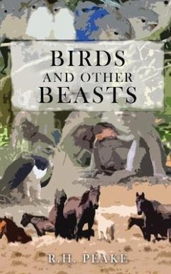 Cover Birds and Other Beasts (eBook, ePUB)